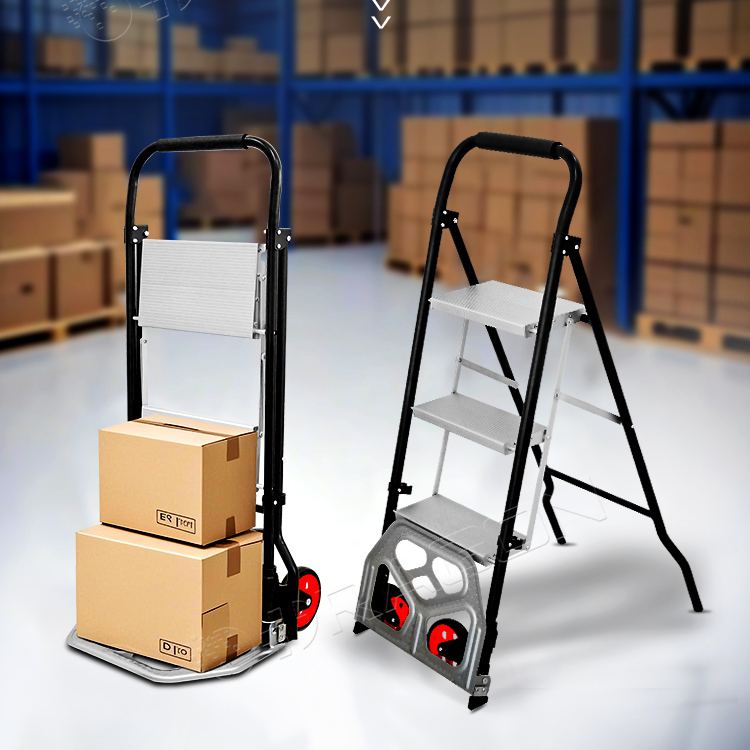 Hand Truck & Ladder