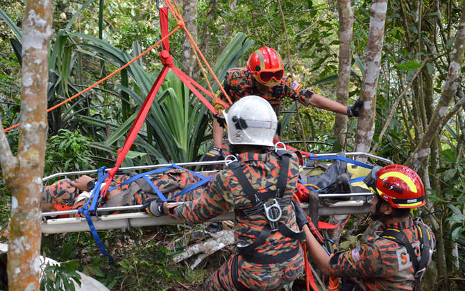 basket stretcher