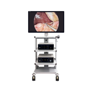 4K Endoscope camera system