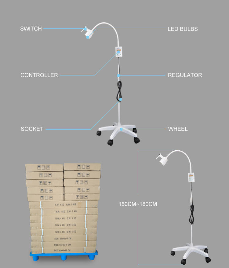 examination light