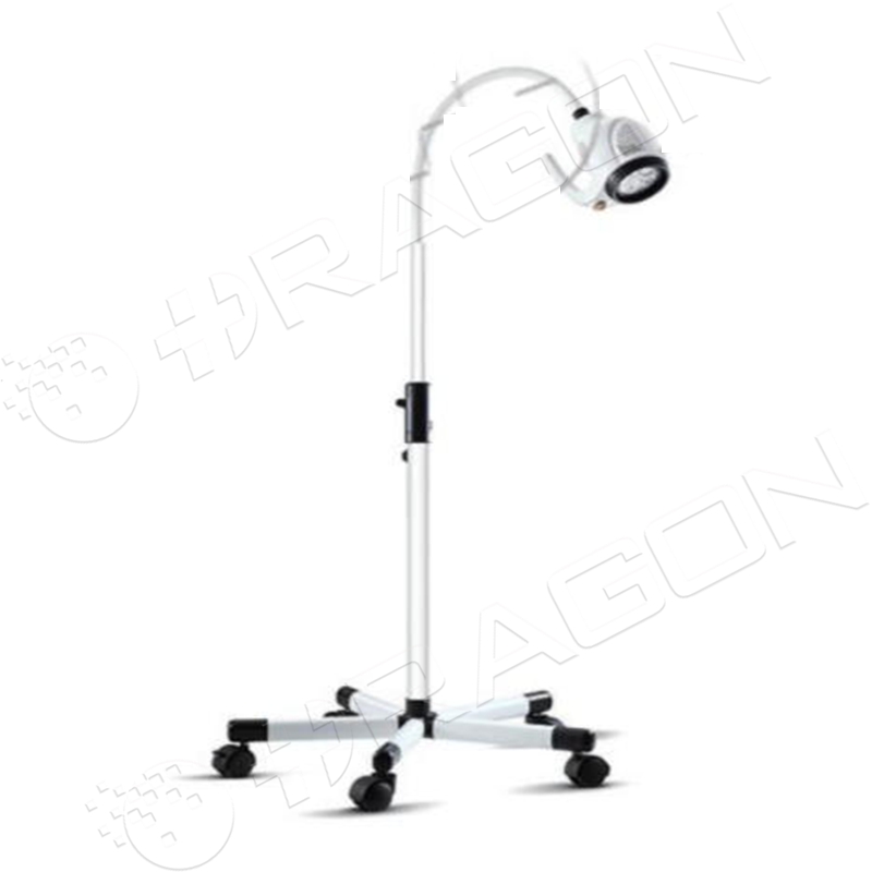 Examining Light OR-EL02