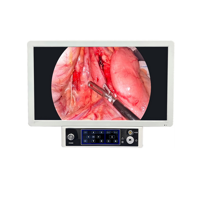 Portable Endoscope camera system