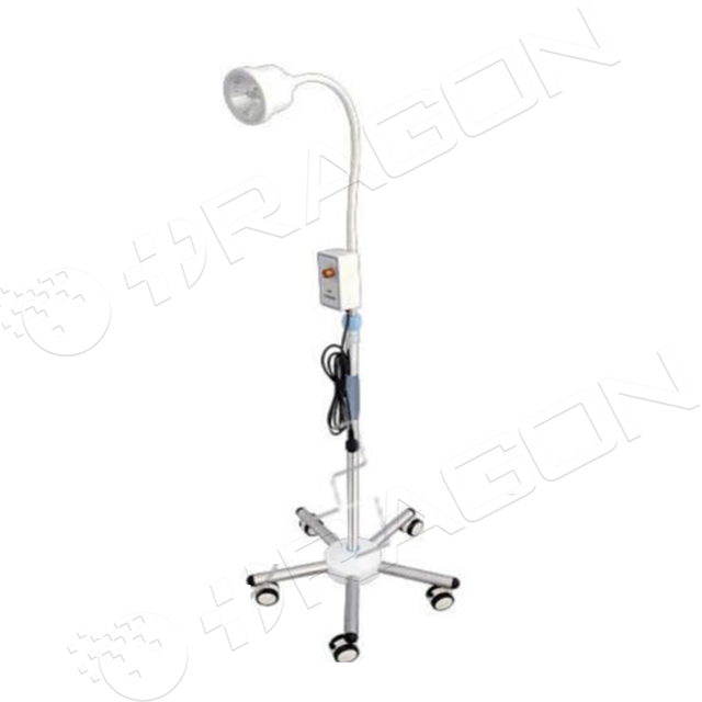 Examining Light OR-EL04