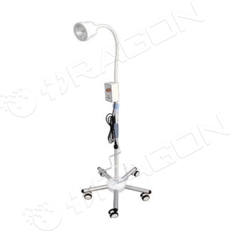 Examining Light OR-EL04