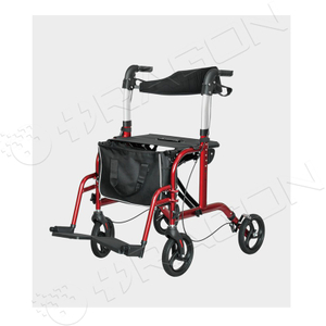 Walking Aids C258-1001A