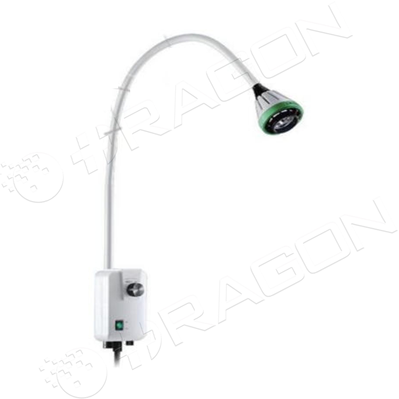 Examining Light OR-EL03