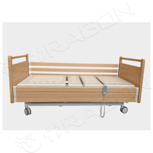 Electric Nursing Bed DW-NR306