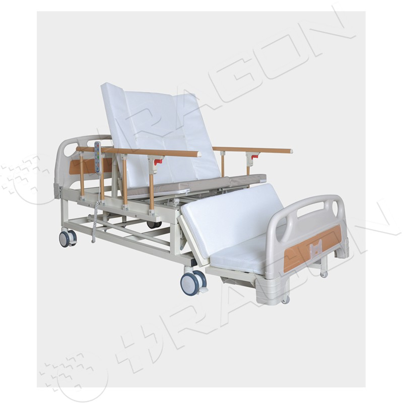 Electric Nursing Bed DW-CB06