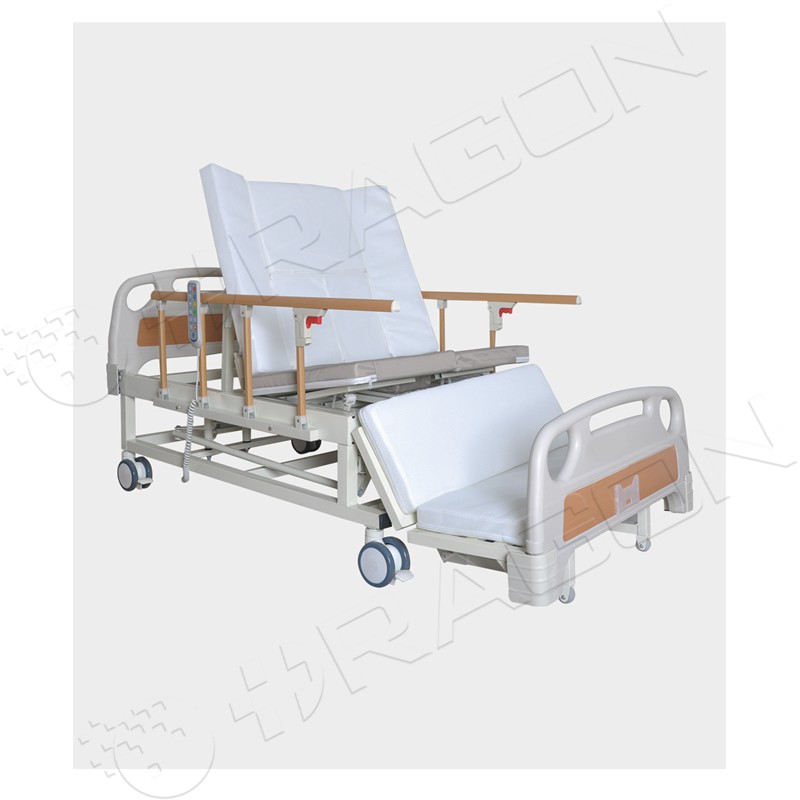 Electric Nursing Bed DW-CB06