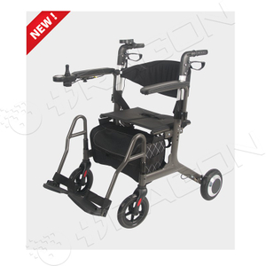Electric Walking Aids DW-WA44