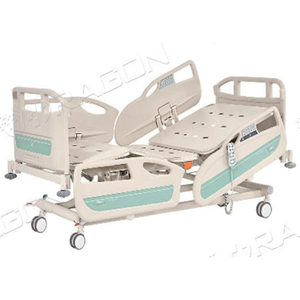 Multi-function Electric Bed WF-EB02