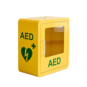 Wall Mounted AED Cabinet AED-SC02