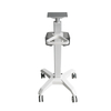 Monitor Trolley