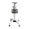 Monitor Trolley